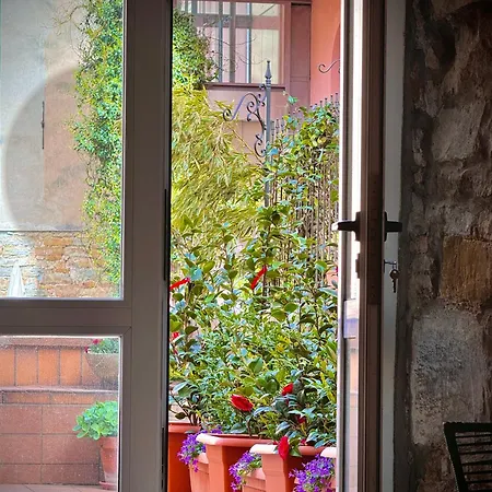 Apartment Casa Camelie *