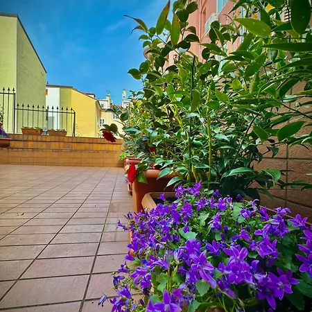 דירה Casa Camelie