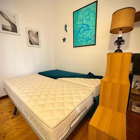 Casa Camelie Apartment