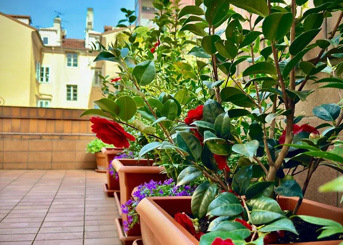 Casa Camelie Триест